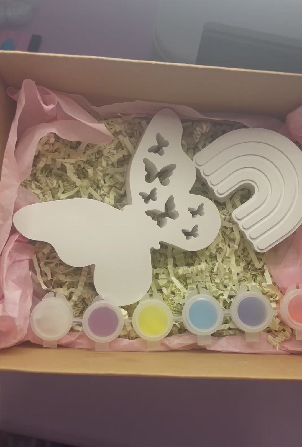 Butterfly & Rainbow Paint & Create DIY Craft Kit